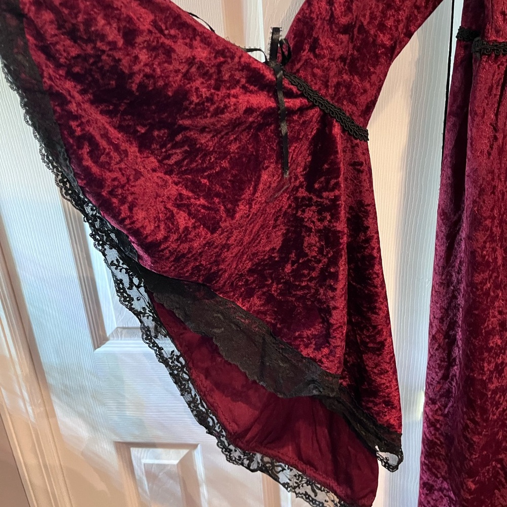 Elegant Wine Red Goth Velvet Gown - Picture 3 of 5